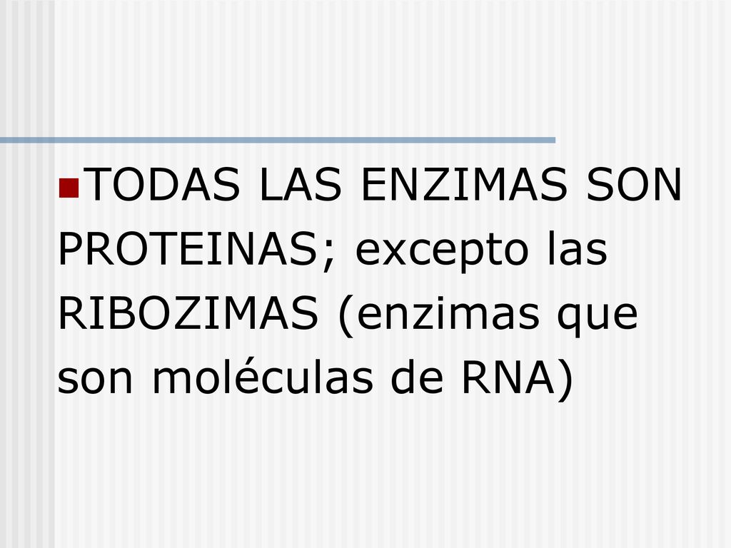 TODAS LAS ENZIMAS SON PROTEINAS; excepto las RIBOZIMAS (enzimas que son moléculas de RNA)