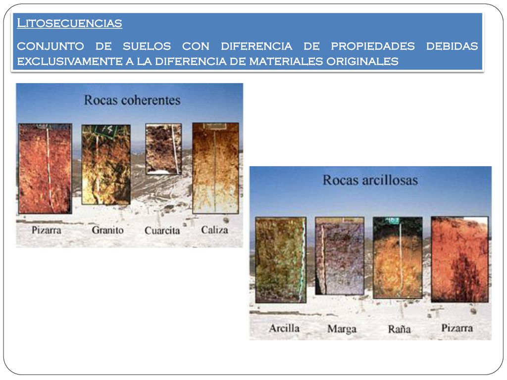 Litosecuencias conjunto de suelos con diferencia de propiedades debidas exclusivamente a la diferencia de materiales originales.