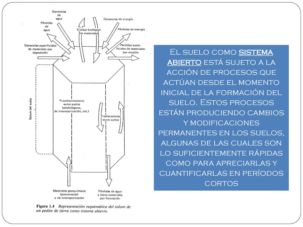 El suelo como sistema abierto está sujeto a la acción de procesos que actúan desde el momento inicial de la formación del suelo.