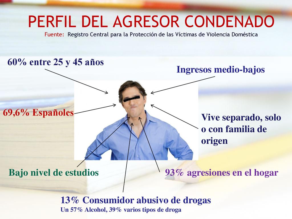 PERFIL DEL AGRESOR CONDENADO Fuente: Registro Central para la Protección de las Víctimas de Violencia Doméstica