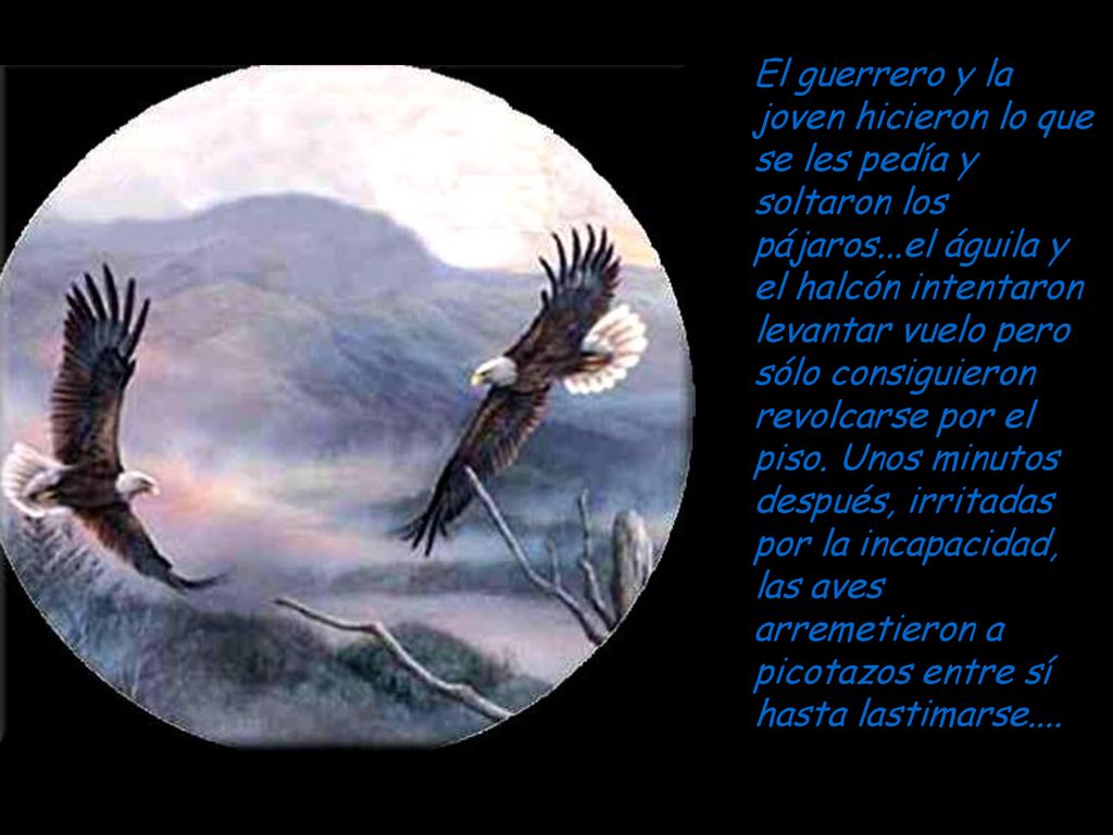 El guerrero y la joven hicieron lo que se les pedía y soltaron los pájaros...el águila y el halcón intentaron levantar vuelo pero sólo consiguieron revolcarse por el piso.