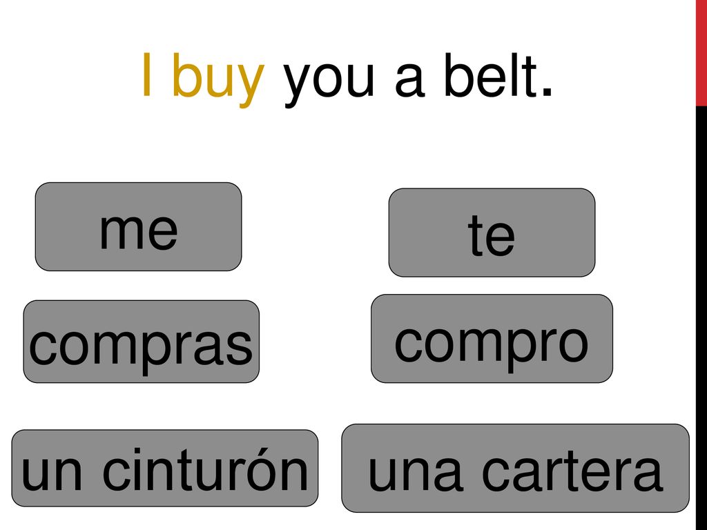 I buy you a belt. me te compro compras una cartera un cinturón