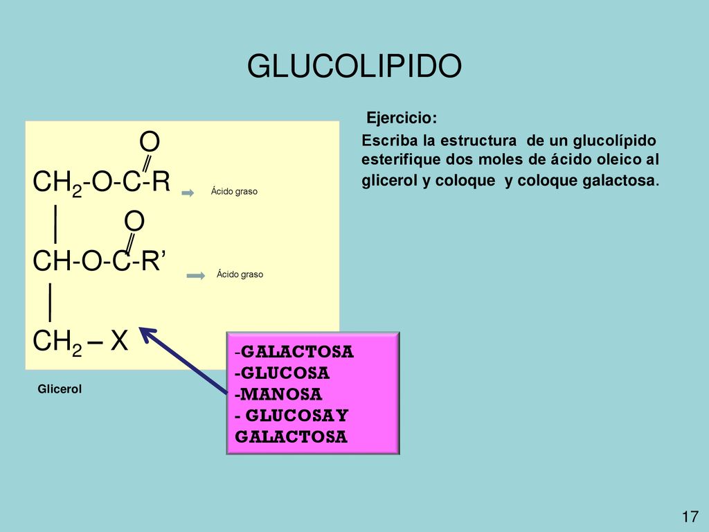 GLUCOLIPIDO O CH2-O-C-R CH-O-C-R’ CH2 – X -GALACTOSA -GLUCOSA -MANOSA