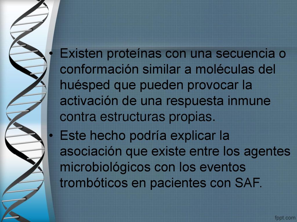 Existen proteínas con una secuencia o conformación similar a moléculas del huésped que pueden provocar la activación de una respuesta inmune contra estructuras propias.