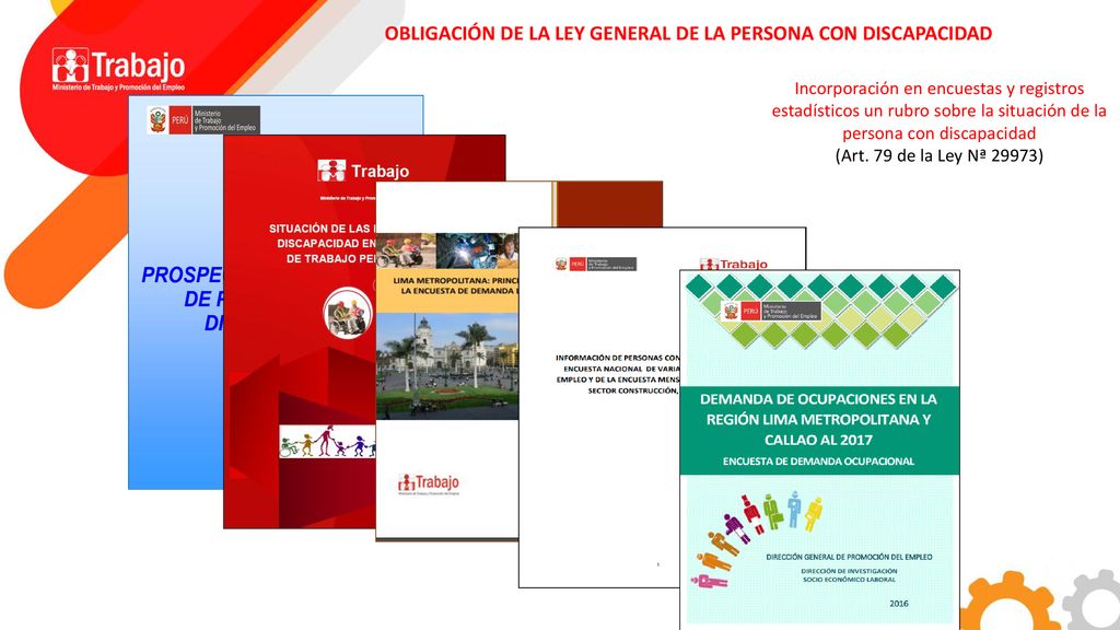 OBLIGACIÓN DE LA LEY GENERAL DE LA PERSONA CON DISCAPACIDAD