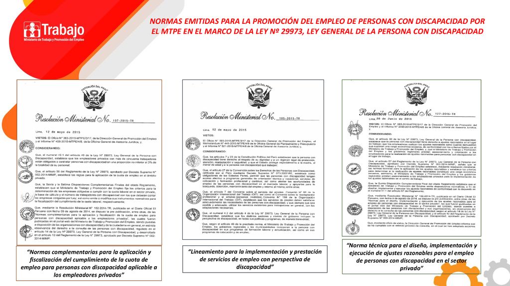 NORMAS EMITIDAS PARA LA PROMOCIÓN DEL EMPLEO DE PERSONAS CON DISCAPACIDAD POR EL MTPE EN EL MARCO DE LA LEY Nº 29973, LEY GENERAL DE LA PERSONA CON DISCAPACIDAD