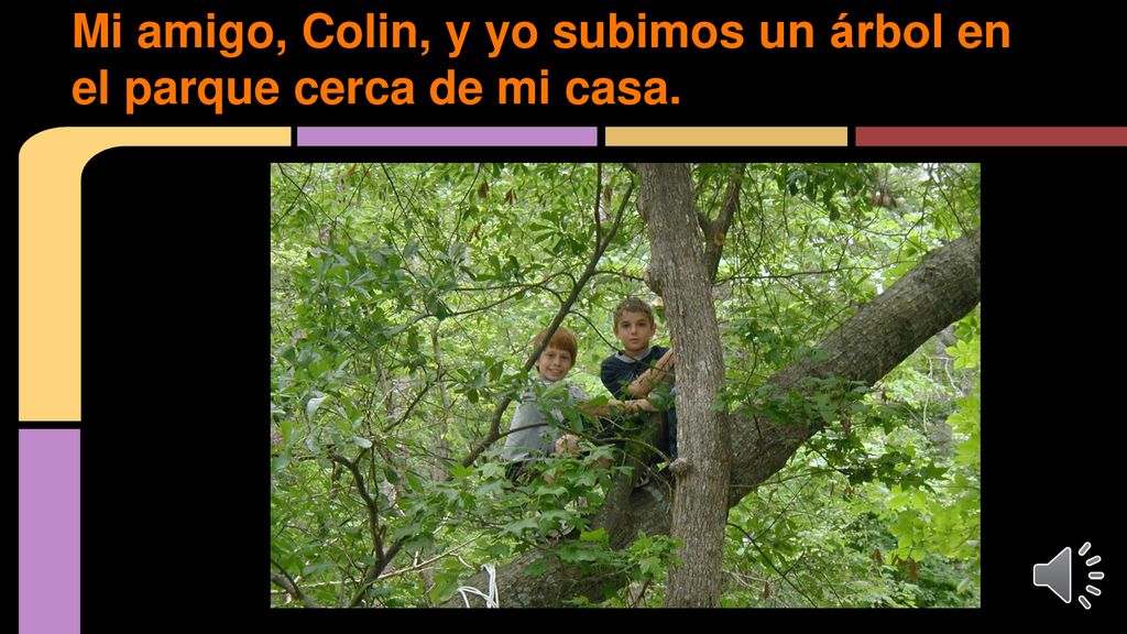 Mi amigo, Colin, y yo subimos un árbol en el parque cerca de mi casa.