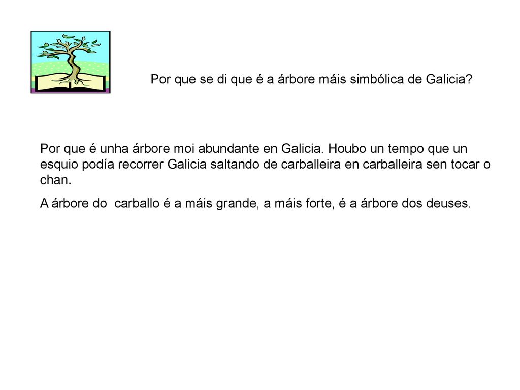 Por que se di que é a árbore máis simbólica de Galicia