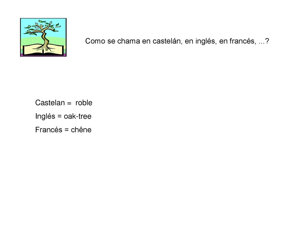 Como se chama en castelán, en inglés, en francés, ...