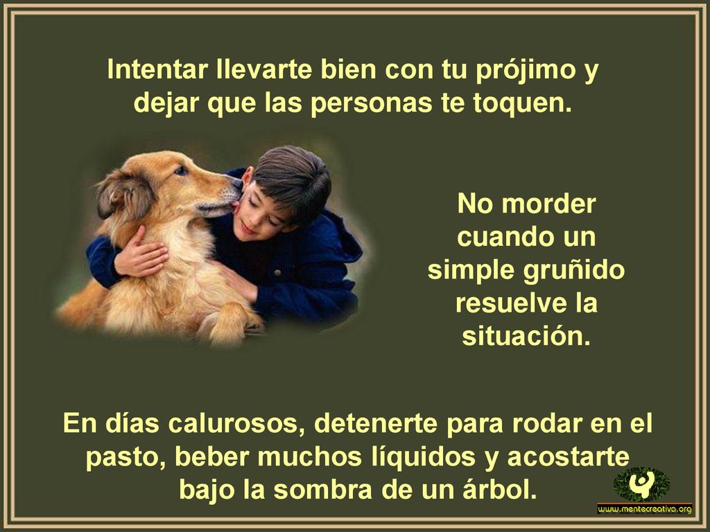 No morder cuando un simple gruñido resuelve la situación.
