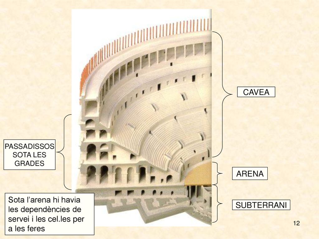 CAVEA PASSADISSOS. SOTA LES. GRADES. ARENA. Sota l’arena hi havia les dependències de servei i les cel.les per a les feres.