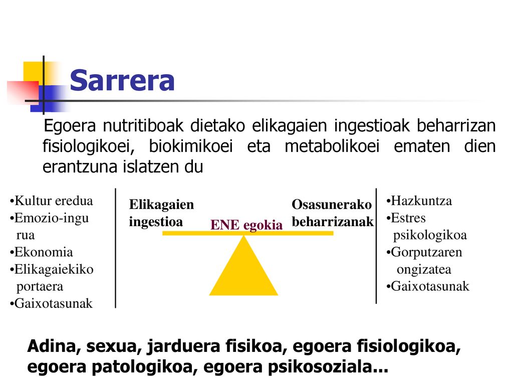 Sarrera Egoera nutritiboak dietako elikagaien ingestioak beharrizan fisiologikoei, biokimikoei eta metabolikoei ematen dien erantzuna islatzen du.