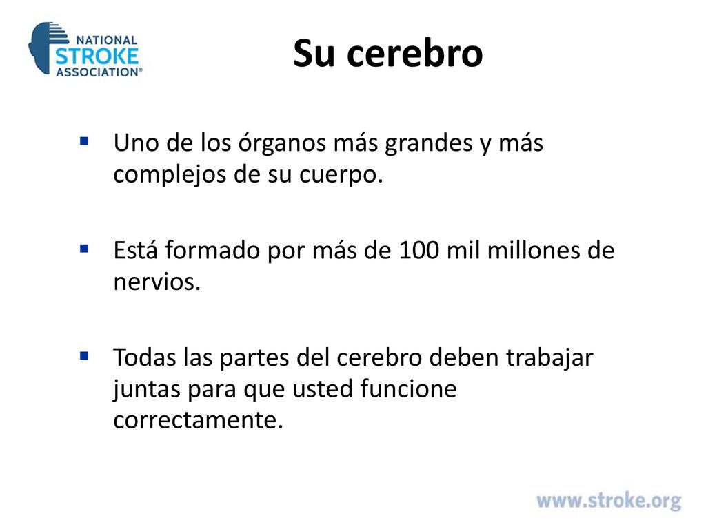 Su cerebro Uno de los órganos más grandes y más complejos de su cuerpo. Está formado por más de 100 mil millones de nervios.