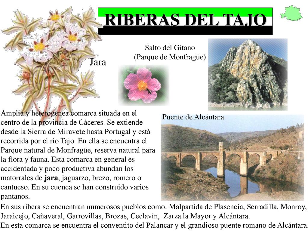 RIBERAS DEL TAJO Jara Salto del Gitano (Parque de Monfragüe)