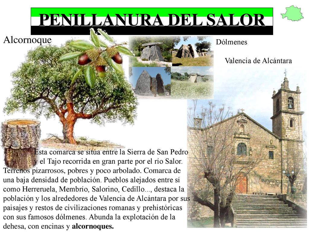 PENILLANURA DEL SALOR Alcornoque Dólmenes Valencia de Alcántara