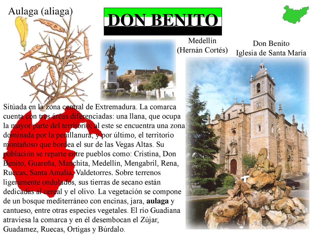 DON BENITO Aulaga (aliaga) Medellín Don Benito (Hernán Cortés)