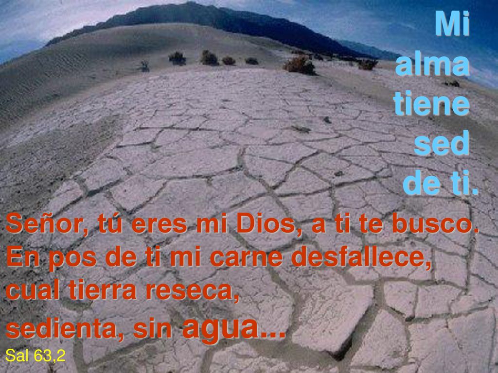 Mi alma tiene sed de ti. Señor, tú eres mi Dios, a ti te busco.