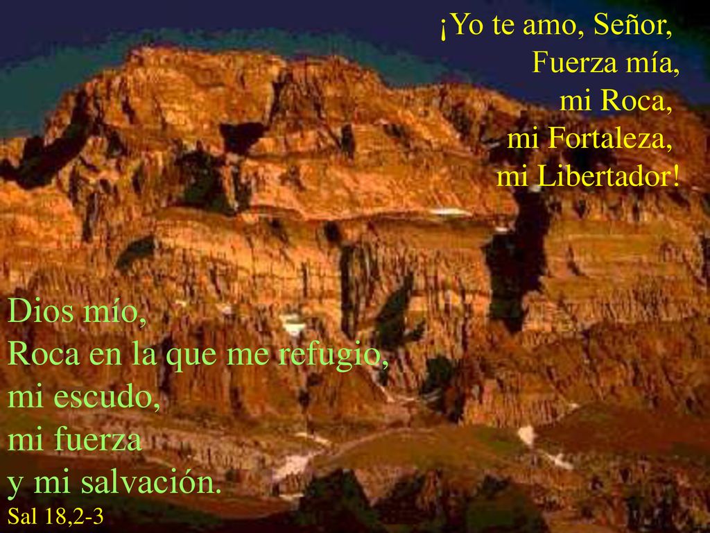 Roca en la que me refugio, mi escudo, mi fuerza y mi salvación.