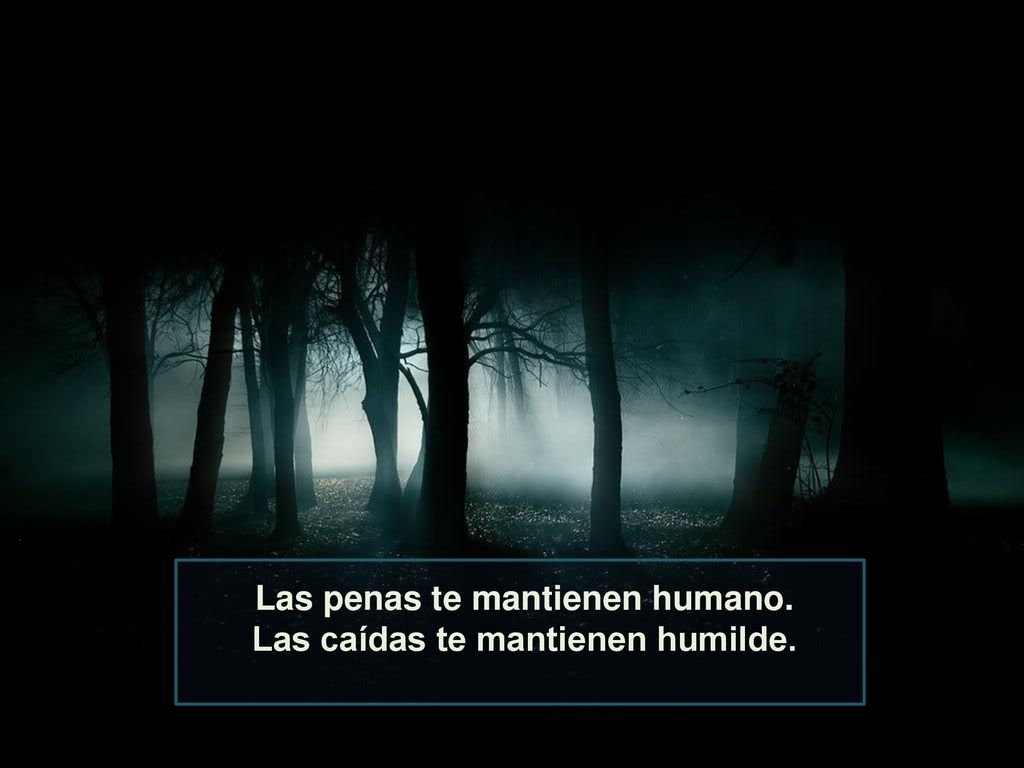 Las penas te mantienen humano. Las caídas te mantienen humilde.