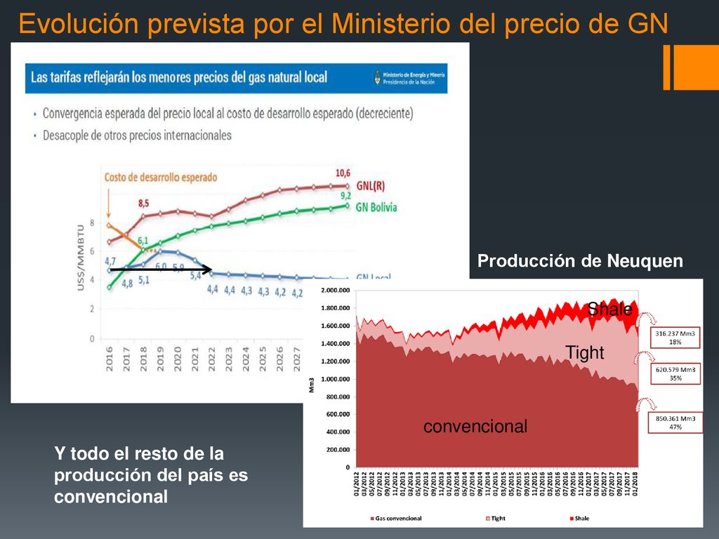 Evolución prevista por el Ministerio del precio de GN