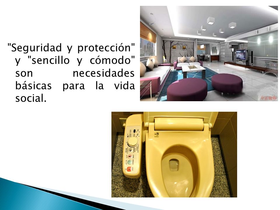 Seguridad y protección y sencillo y cómodo son necesidades básicas para la vida social.