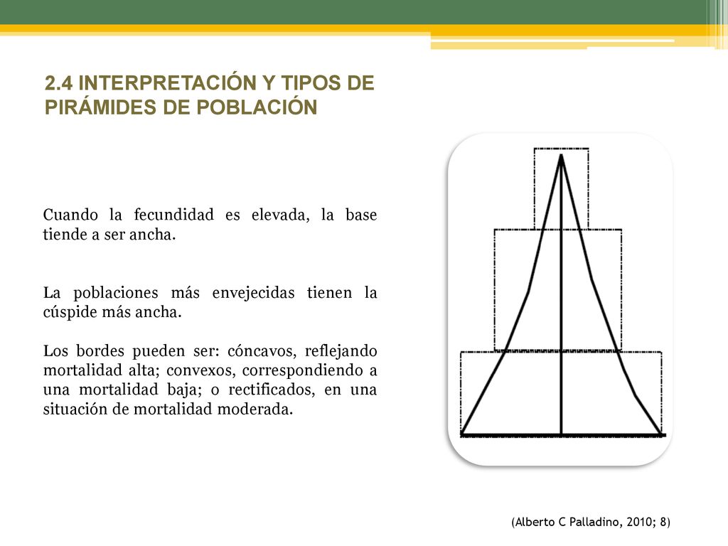 2.4 INTERPRETACIÓN Y TIPOS DE PIRÁMIDES DE POBLACIÓN