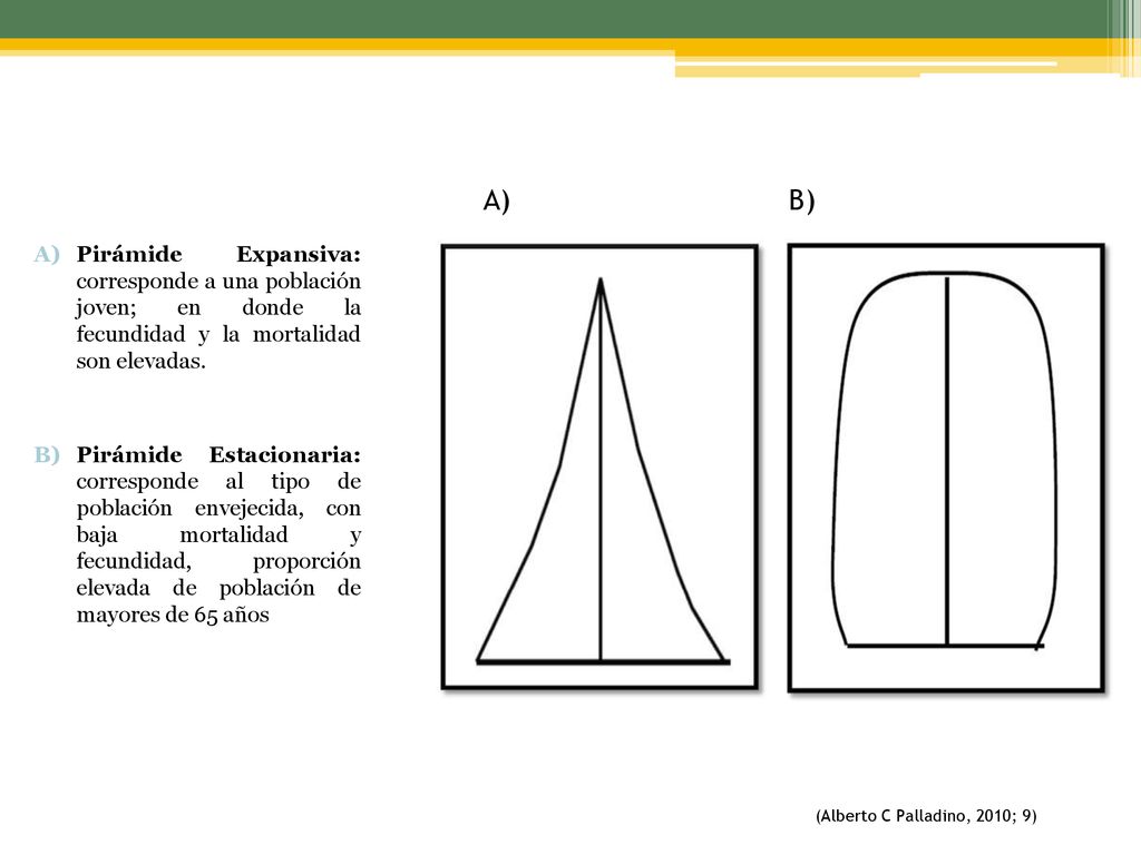 A) B) Pirámide Expansiva: corresponde a una población joven; en donde la fecundidad y la mortalidad son elevadas.