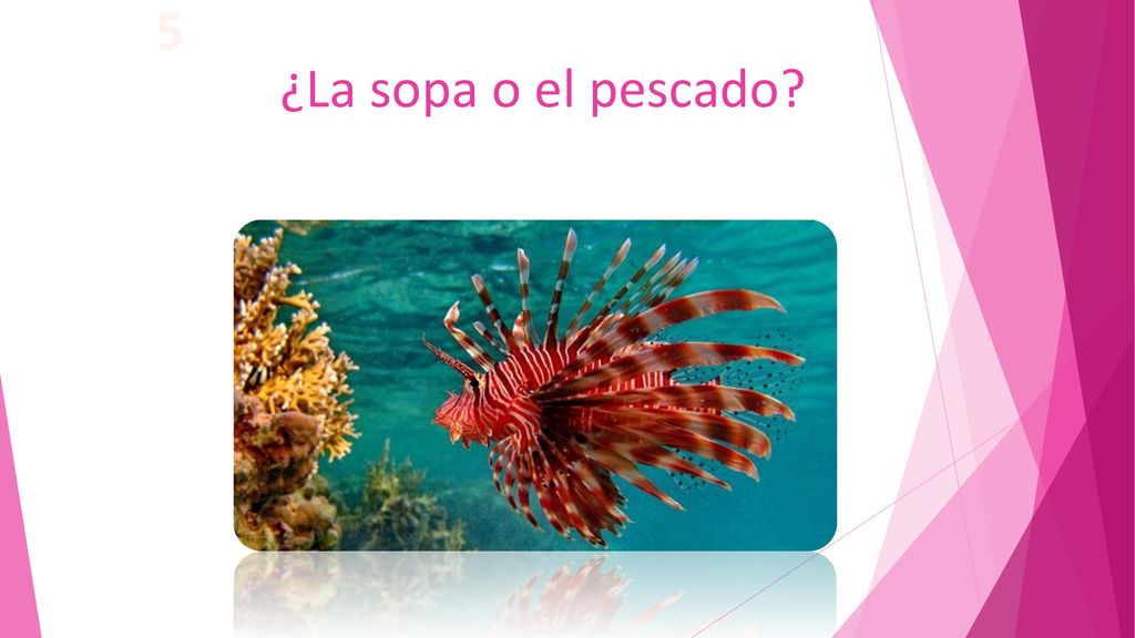 5 ¿La sopa o el pescado ¿La ensalada o el batido
