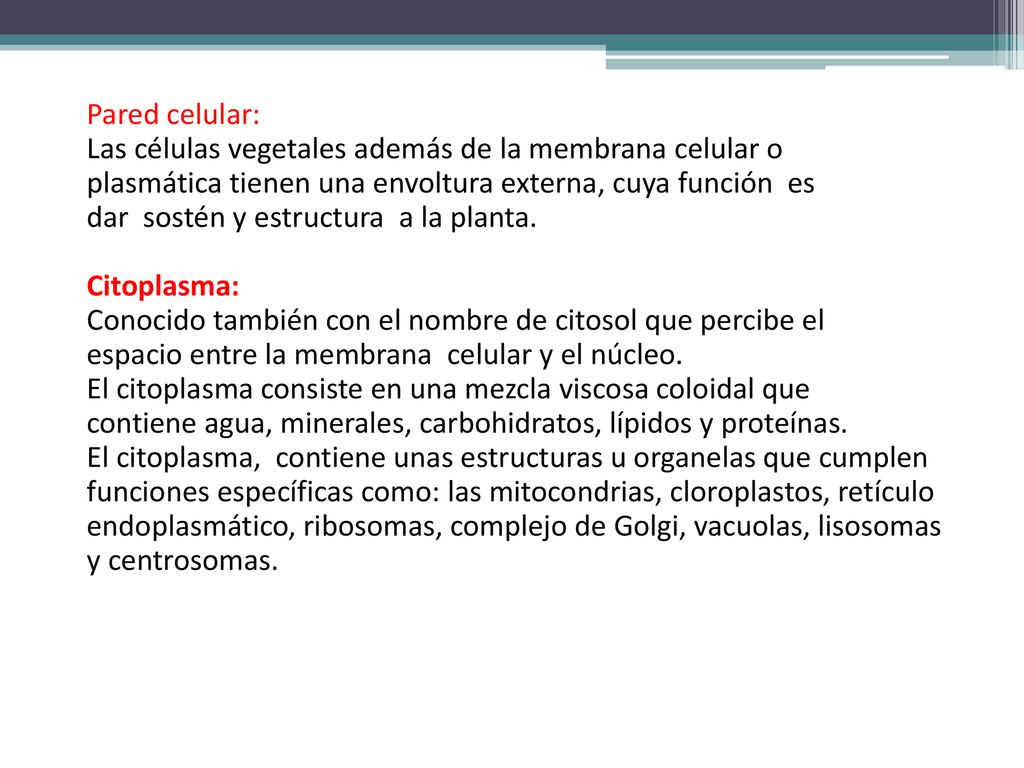 Pared celular: Las células vegetales además de la membrana celular o plasmática tienen una envoltura externa, cuya función es dar sostén y estructura a la planta.