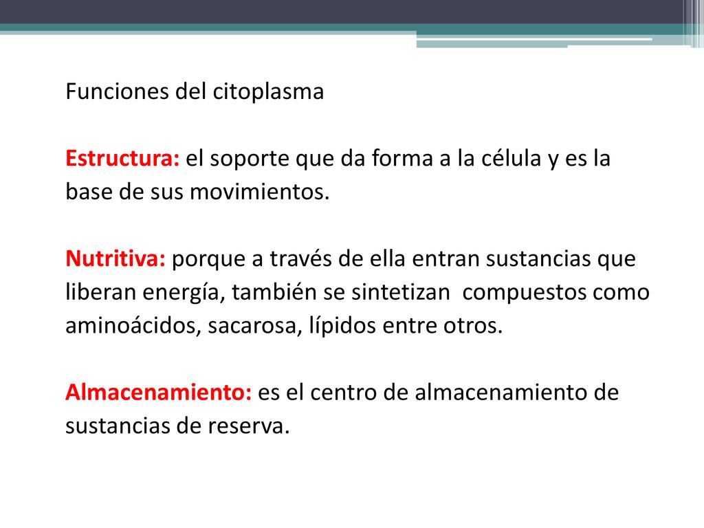 Funciones del citoplasma Estructura: el soporte que da forma a la célula y es la base de sus movimientos.