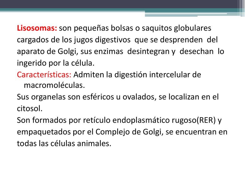 Lisosomas: son pequeñas bolsas o saquitos globulares cargados de los jugos digestivos que se desprenden del aparato de Golgi, sus enzimas desintegran y desechan lo ingerido por la célula.