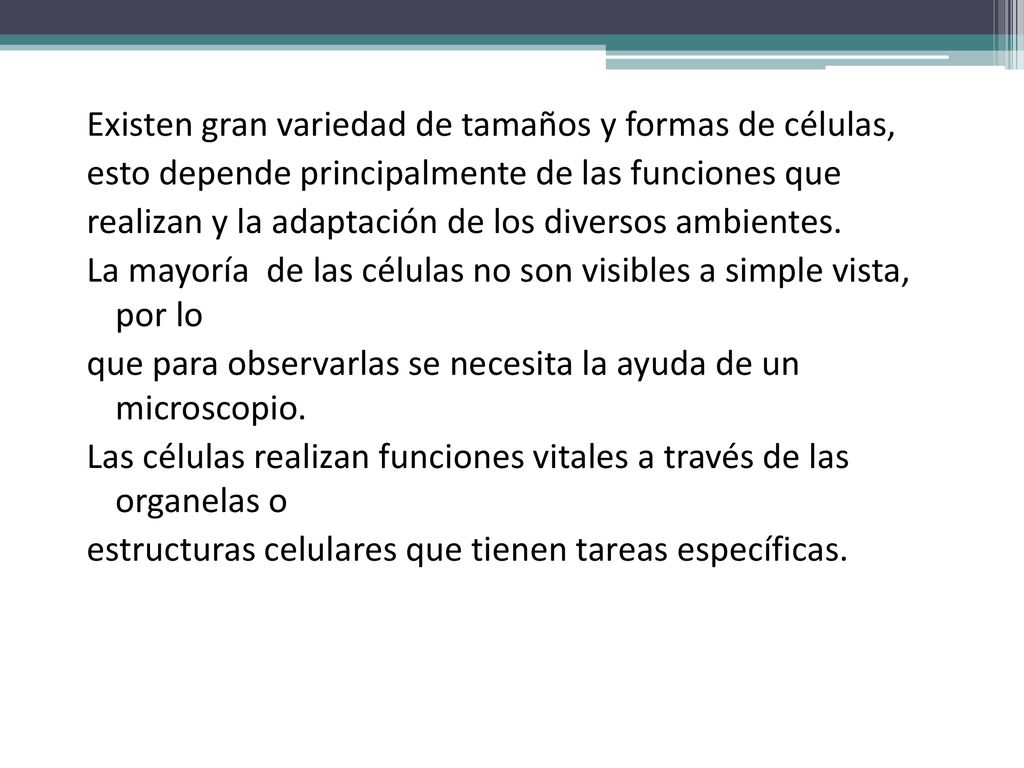 Existen gran variedad de tamaños y formas de células, esto depende principalmente de las funciones que realizan y la adaptación de los diversos ambientes.