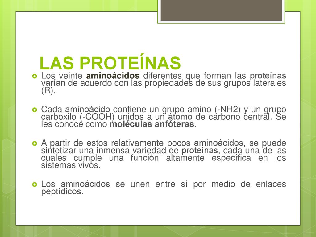 Los veinte aminoácidos diferentes que forman las proteínas varían de acuerdo con las propiedades de sus grupos laterales (R).