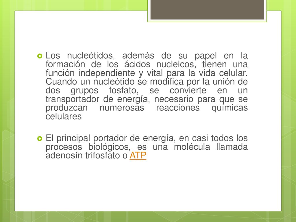Los nucleótidos, además de su papel en la formación de los ácidos nucleicos, tienen una función independiente y vital para la vida celular. Cuando un nucleótido se modifica por la unión de dos grupos fosfato, se convierte en un transportador de energía, necesario para que se produzcan numerosas reacciones químicas celulares