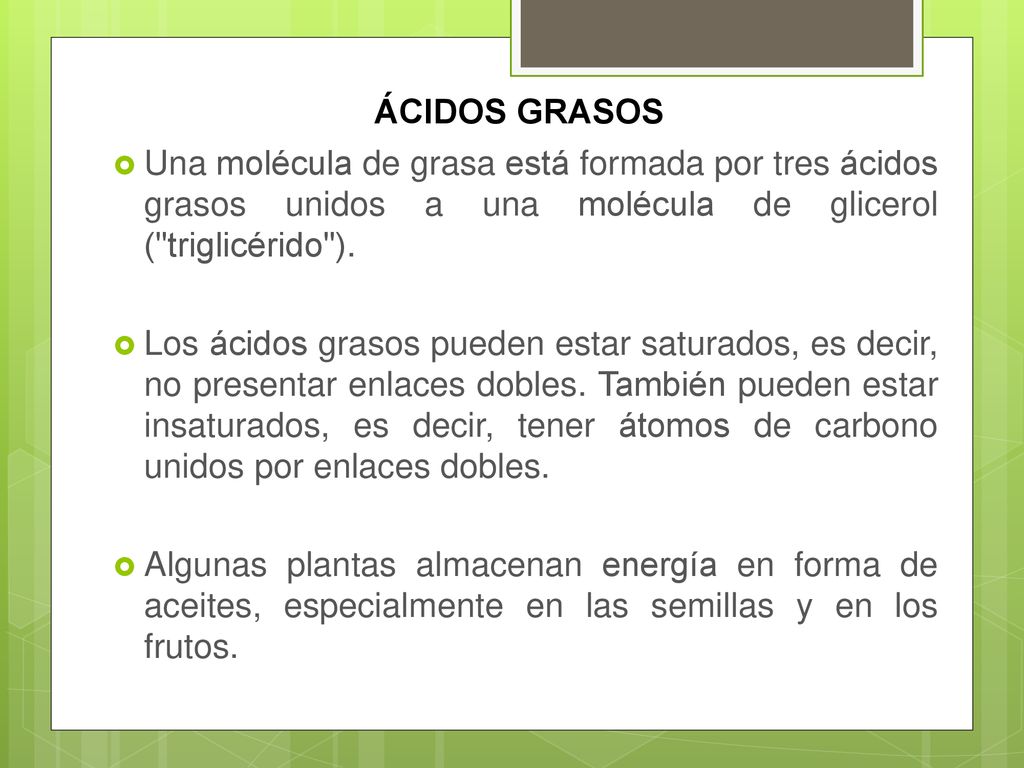 ÁCIDOS GRASOS Una molécula de grasa está formada por tres ácidos grasos unidos a una molécula de glicerol ( triglicérido ).