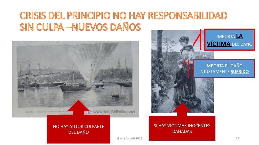 CRISIS DEL PRINCIPIO NO HAY RESPONSABILIDAD SIN CULPA –NUEVOS DAÑOS