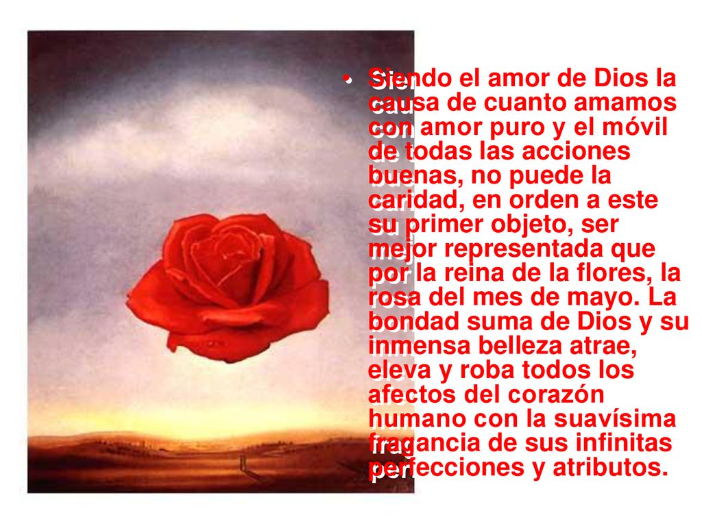 Siendo el amor de Dios la causa de cuanto amamos con amor puro y el móvil de todas las acciones buenas, no puede la caridad, en orden a este su primer objeto, ser mejor representada que por la reina de la flores, la rosa del mes de mayo.