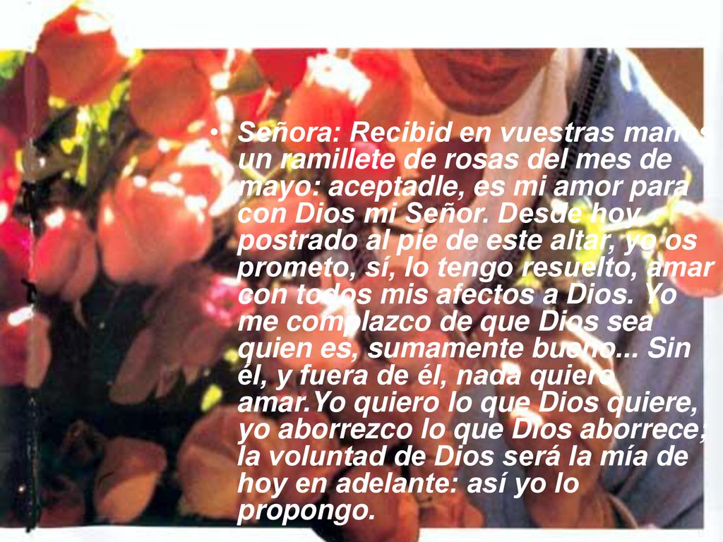 Señora: Recibid en vuestras manos un ramillete de rosas del mes de mayo: aceptadle, es mi amor para con Dios mi Señor.