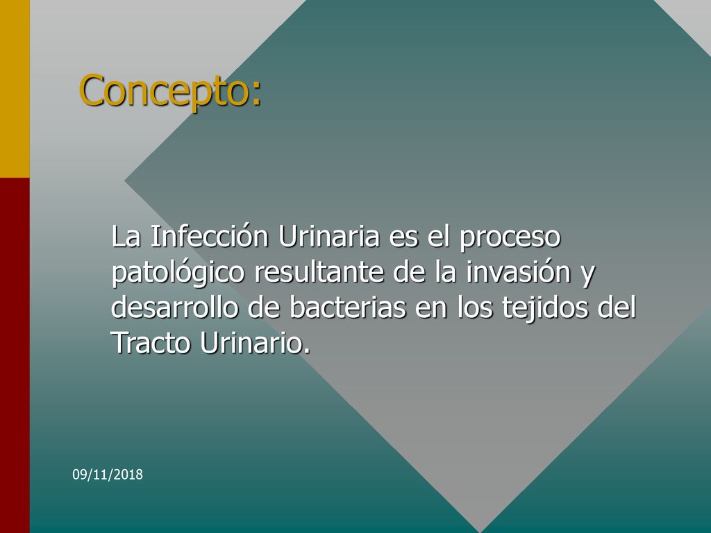 Concepto: La Infección Urinaria es el proceso patológico resultante de la invasión y desarrollo de bacterias en los tejidos del Tracto Urinario.