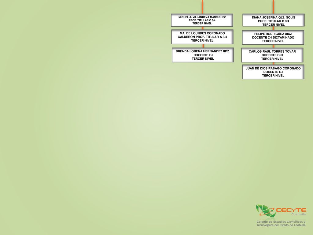 DIANA JOSEFINA GLZ. SOLIS PROF. TITULAR B 3/4 TERCER NIVEL