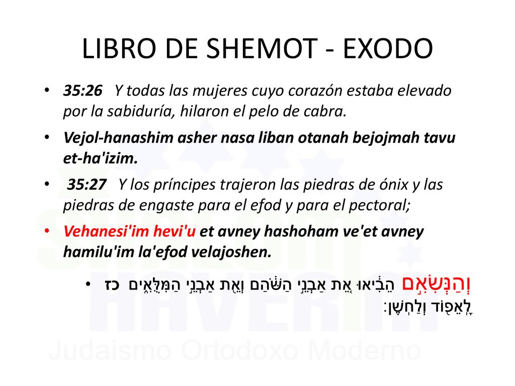LIBRO DE SHEMOT - EXODO 35:26 Y todas las mujeres cuyo corazón estaba elevado por la sabiduría, hilaron el pelo de cabra.