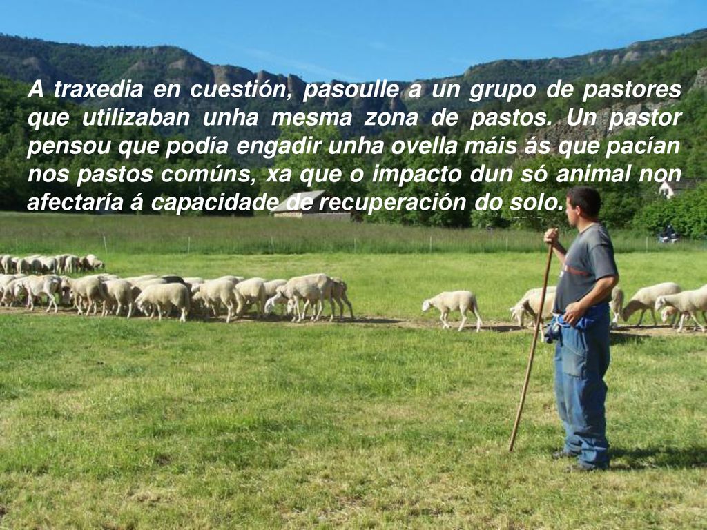 A traxedia en cuestión, pasoulle a un grupo de pastores que utilizaban unha mesma zona de pastos.
