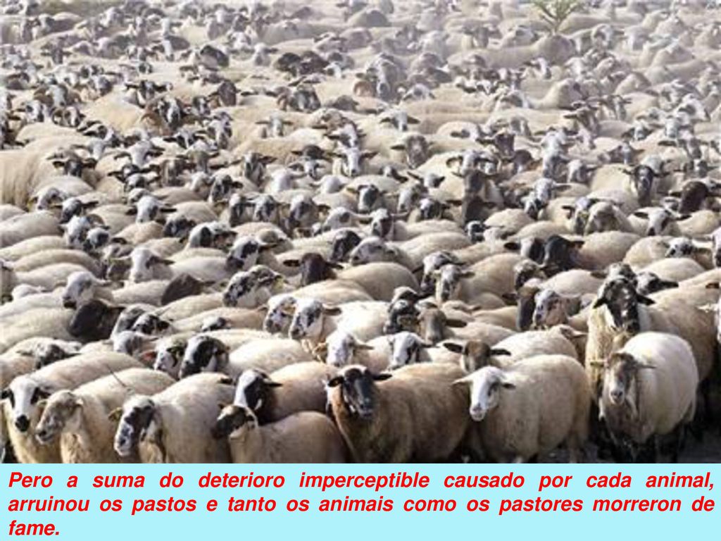Pero a suma do deterioro imperceptible causado por cada animal, arruinou os pastos e tanto os animais como os pastores morreron de fame.