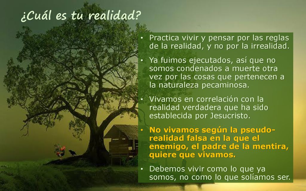 ¿Cuál es tu realidad Practica vivir y pensar por las reglas de la realidad, y no por la irrealidad.