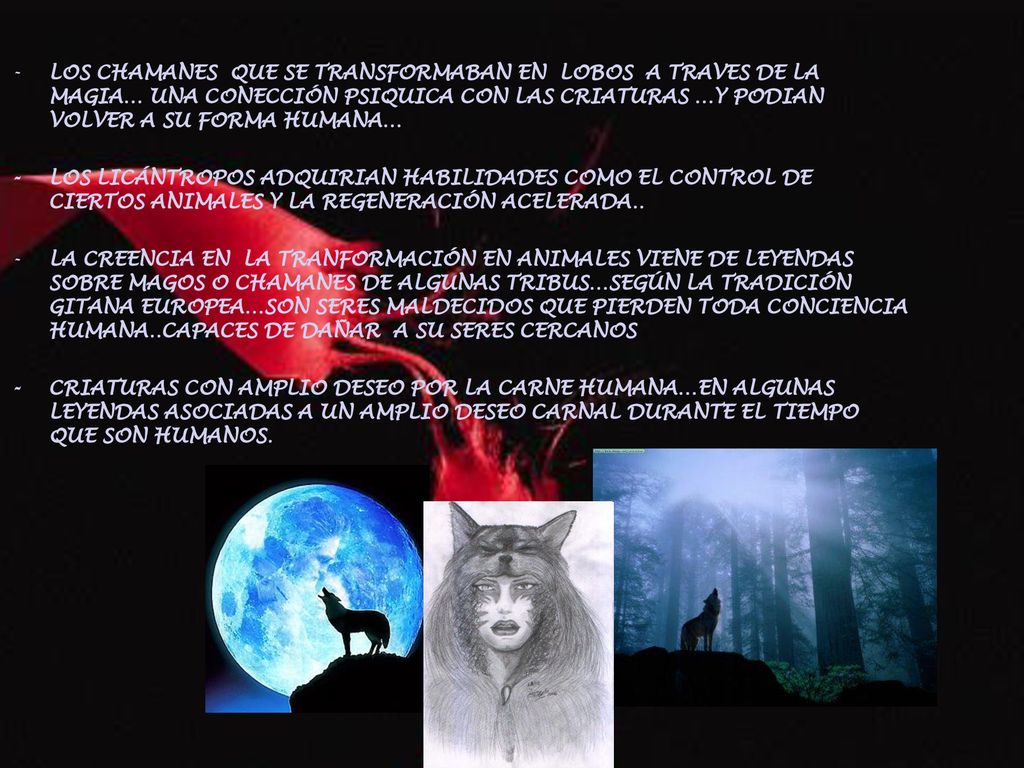 LOS CHAMANES QUE SE TRANSFORMABAN EN LOBOS A TRAVES DE LA MAGIA… UNA CONECCIÓN PSIQUICA CON LAS CRIATURAS …Y PODIAN VOLVER A SU FORMA HUMANA…