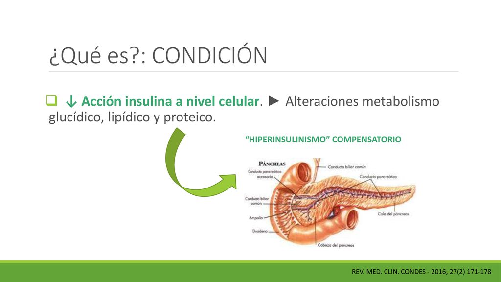 ¿Qué es : CONDICIÓN ↓ Acción insulina a nivel celular. ► Alteraciones metabolismo glucídico, lipídico y proteico.