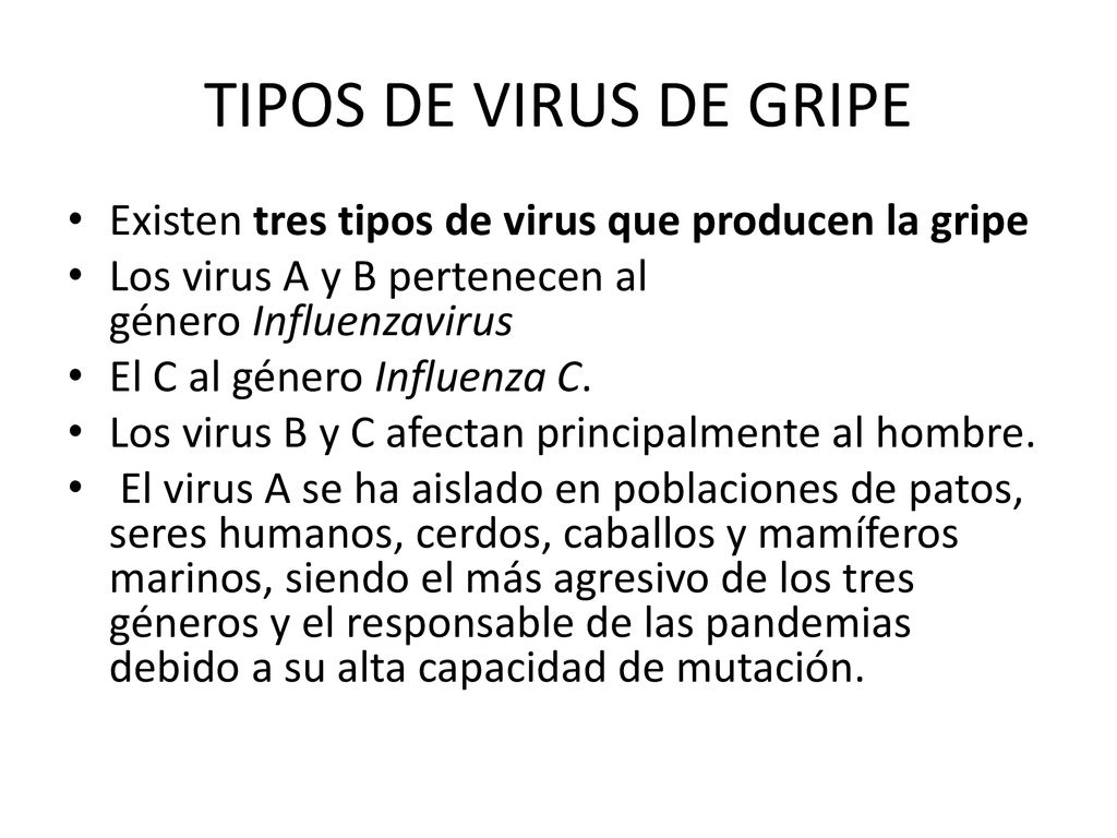 TIPOS DE VIRUS DE GRIPE Existen tres tipos de virus que producen la gripe. Los virus A y B pertenecen al género Influenzavirus