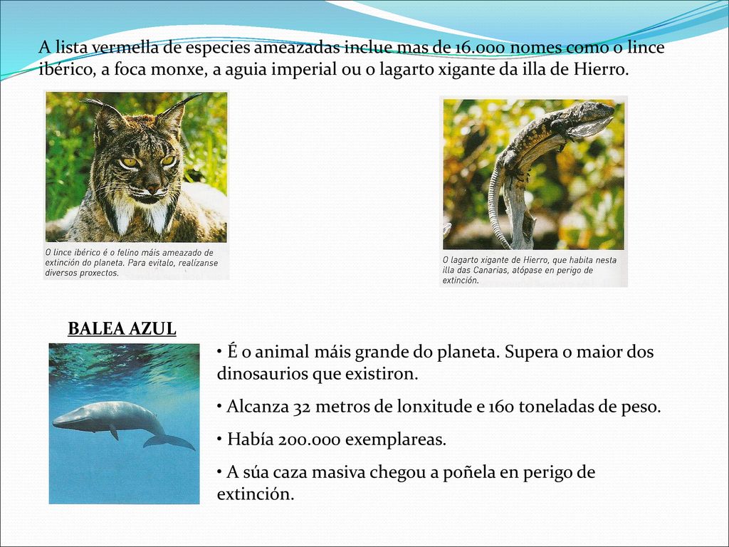 A lista vermella de especies ameazadas inclue mas de 16
