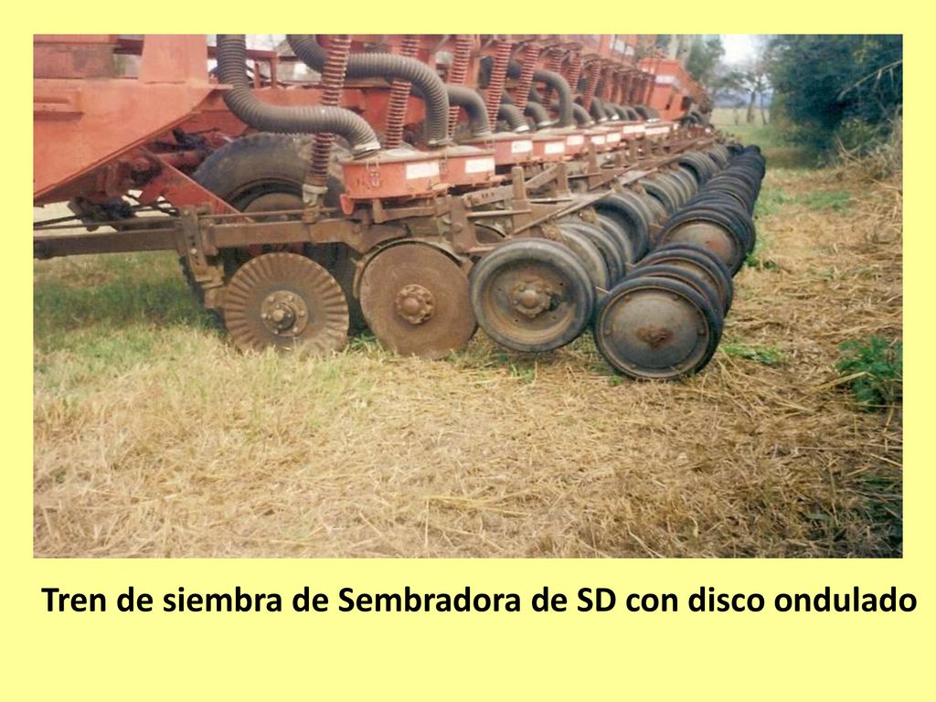 Tren de siembra de Sembradora de SD con disco ondulado