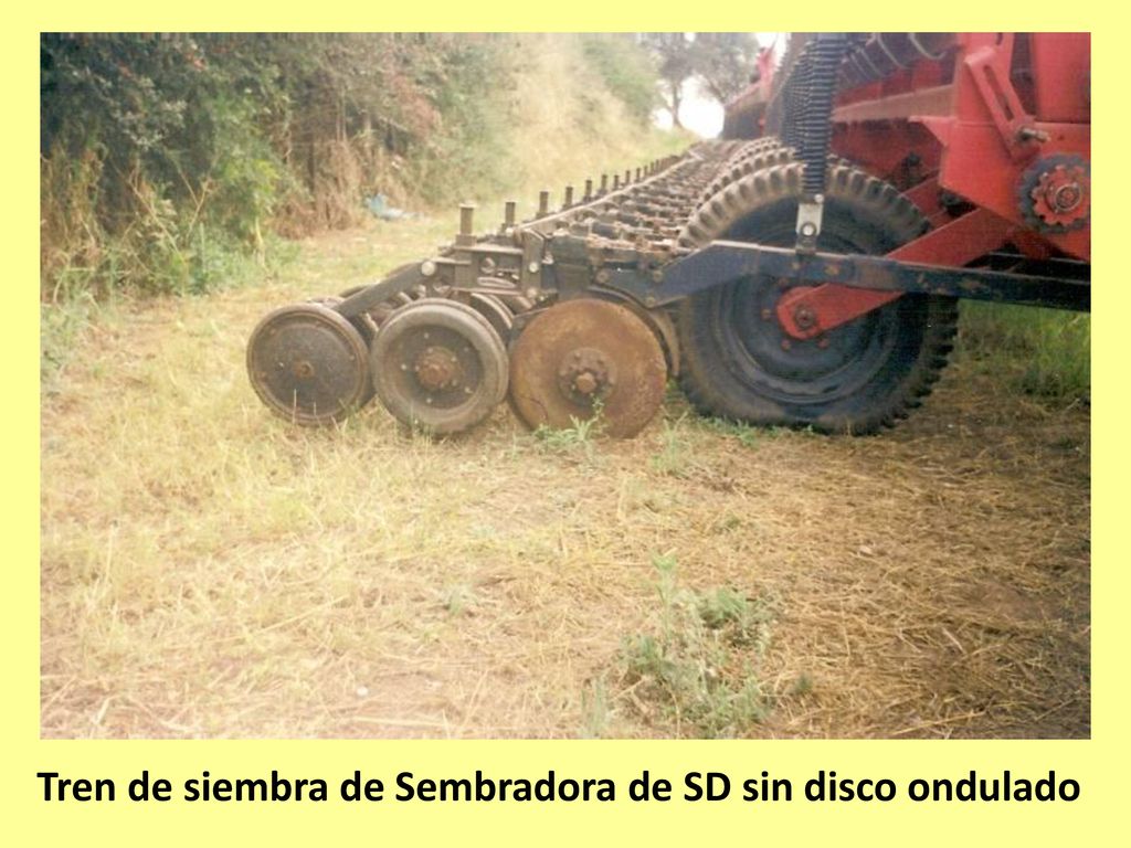 Tren de siembra de Sembradora de SD sin disco ondulado